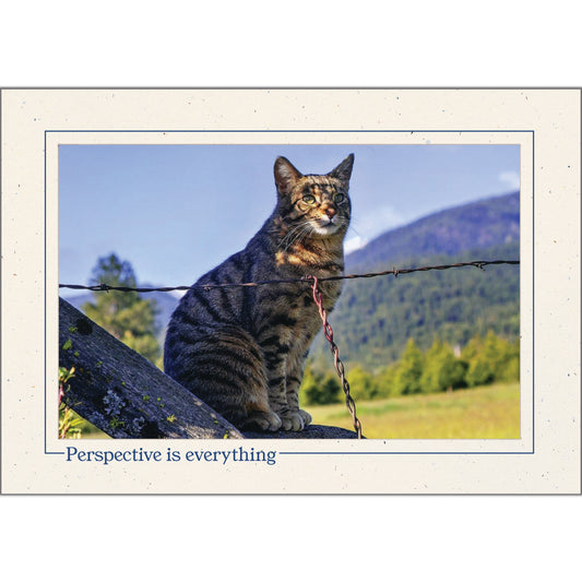 1625 - Natural, Perspective is everything, Horizontal, set of 10 cards