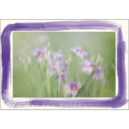 1627V - Bright White, Violet Watercolor Border, Blank Back, set of 10 cards