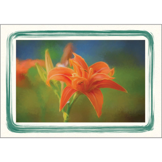 1628A - Bright White, Amazon Paint Border, Blank Back, set of 10 cards