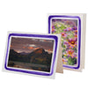 1628V - Bright White, Violet Paint Border, Blank Back, set of 10 cards