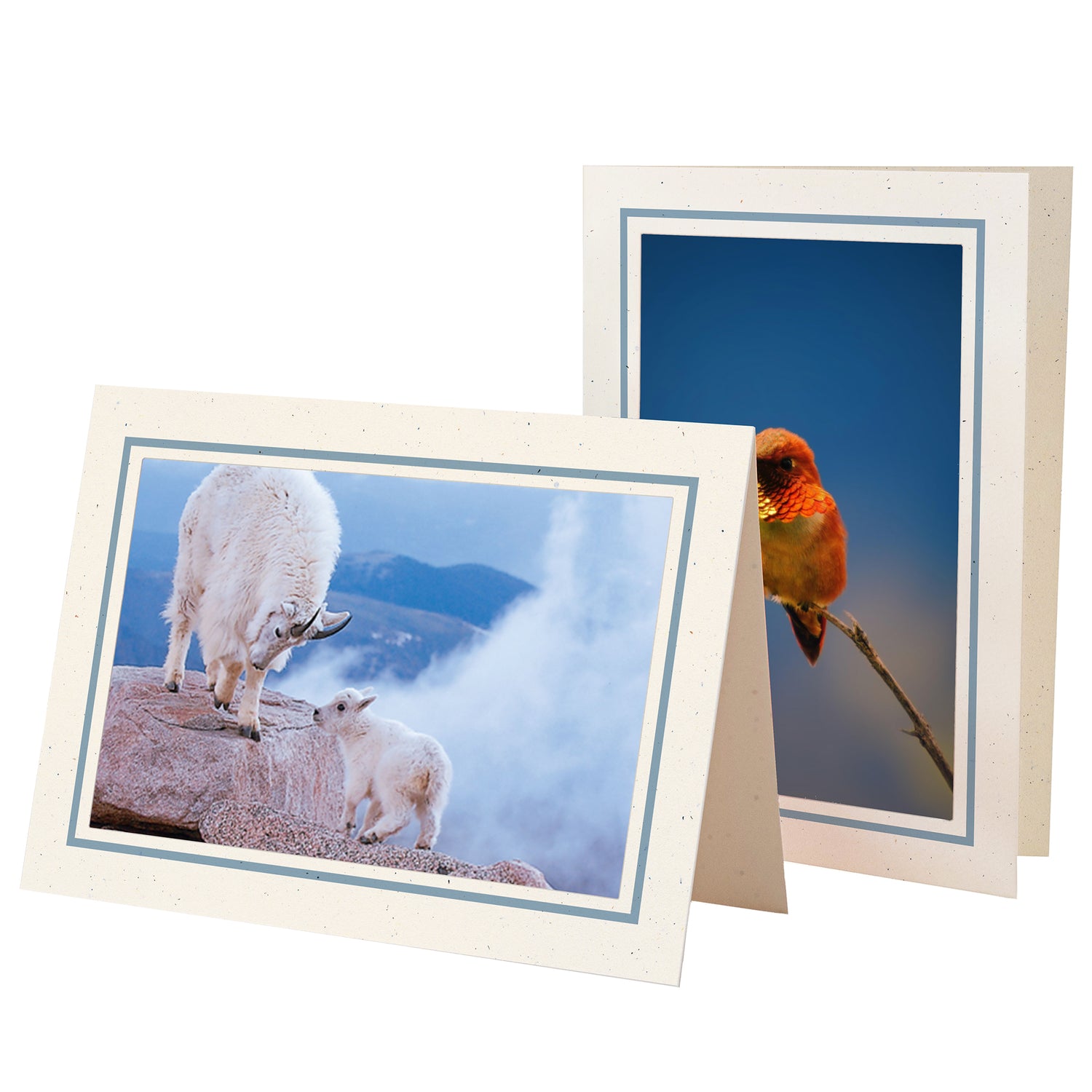 Pastel Border Cards