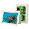 1629PJ - Natural, Mint Green Pastel Border, Blank Back, set of 10 cards