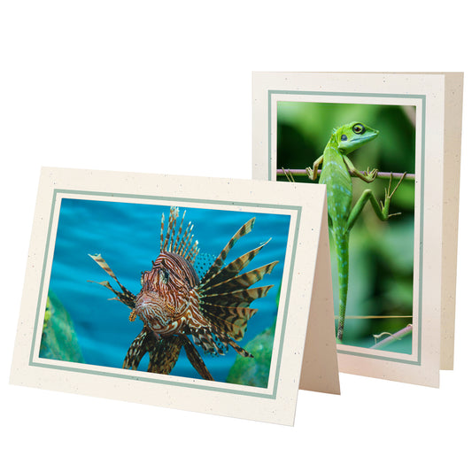 1629PJ - Natural, Mint Green Pastel Border, Blank Back, set of 10 cards