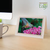 1629PSC - Natural, Carnation Pastel Border, Blank Back, set of 10 cards
