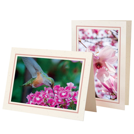 1629PSC - Natural, Carnation Pastel Border, Blank Back, set of 10 cards