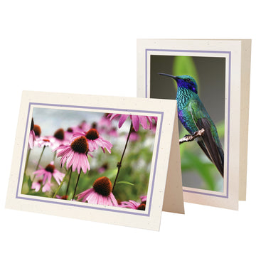 1629PV - Natural, Lavender Pastel Border, Blank Back, set of 10 cards