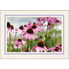 1629PV - Natural, Lavender Pastel Border, Blank Back, set of 10 cards