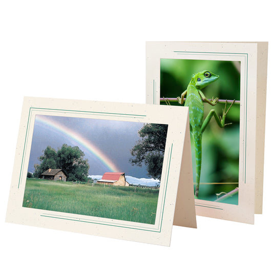 1630A - Natural, Amazon Green 2-Tone Border, Blank Back, set of 10 cards