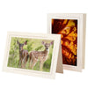 1630S - Natural, Sandstone 2-Tone Border, Blank Back, set of 10 cards
