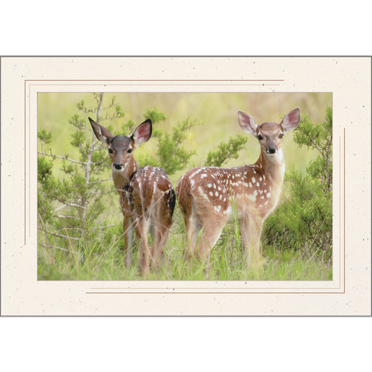 1630S - Natural, Sandstone 2-Tone Border, Blank Back, set of 10 cards