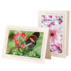 1630SC - Natural, Scarlet Red 2-Tone Border, Blank Back, set of 10 cards