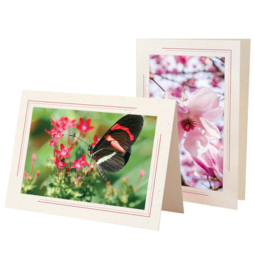 1630SC - Natural, Scarlet Red 2-Tone Border, Blank Back, set of 10 cards