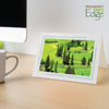 1631A - Bright White, Amazon Green 2-Tone Border, Blank Back, set of 10 cards