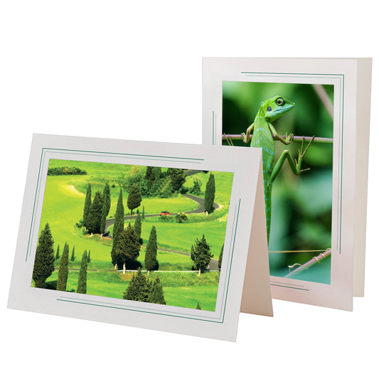 1631A - Bright White, Amazon Green 2-Tone Border, Blank Back, set of 10 cards