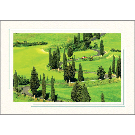 1631A - Bright White, Amazon Green 2-Tone Border, Blank Back, set of 10 cards