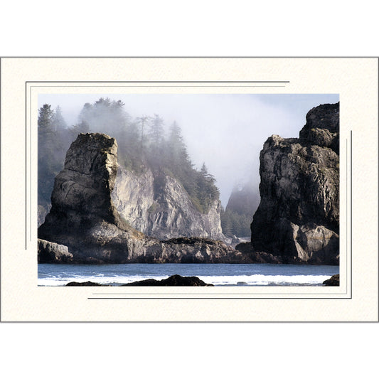 1631BK - Bright White, Raven Black 2-Tone Border, Blank Back, set of 10 cards