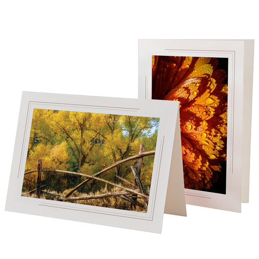 1631S - Bright White, Sandstone 2-Tone Border, Blank Back, set of 10 cards