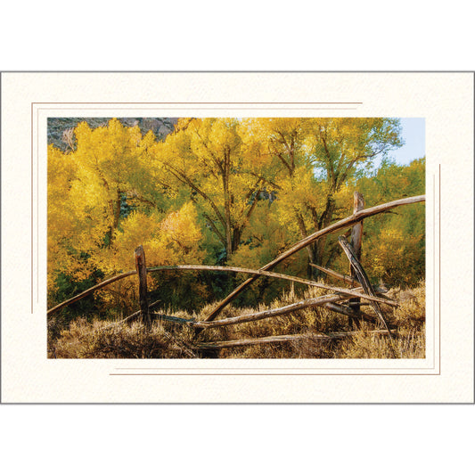 1631S - Bright White, Sandstone 2-Tone Border, Blank Back, set of 10 cards