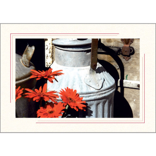 1631SC - Bright White, Scarlet Red 2-Tone Border, Blank Back, set of 10 cards