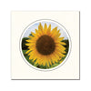 1635 - Bright White, Circle Window, Raven Black Border, Blank Back, set of 10 cards