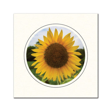 1635 - Bright White, Circle Window, Raven Black Border, Blank Back, set of 10 cards