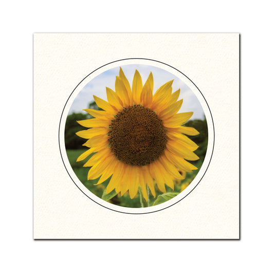 1635 - Bright White, Circle Window, Raven Black Border, Blank Back, set of 10 cards