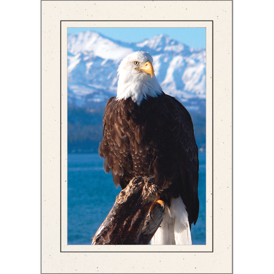 1636 - Natural, Raven Black Border, Photo Insert Notecard, set of 10 Notecards