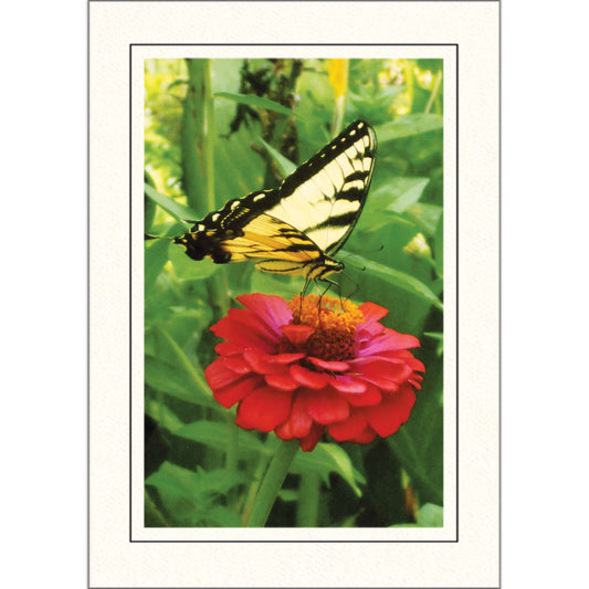 1637 - Bright White, Raven Black Border, Photo Insert Notecard, set of 10 Notecards
