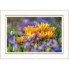 1637 - Bright White, Raven Black Border, Photo Insert Notecard, set of 10 Notecards
