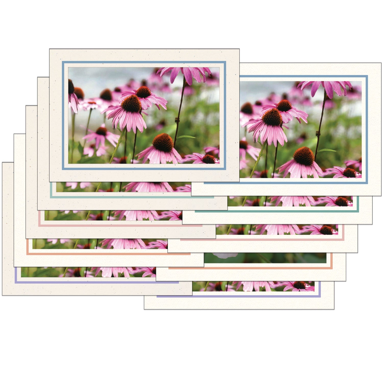 Pastel Border Natural Cardstock
