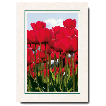 413A - Natural, Amazon Green Border, Vertical, set of 10 cards