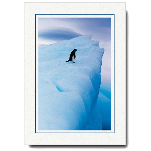 413M - Natural, Midnight Blue Border, Vertical, set of 10 cards