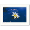 502M - Bright White, Midnight Blue Border, Horizontal, set of 10 cards