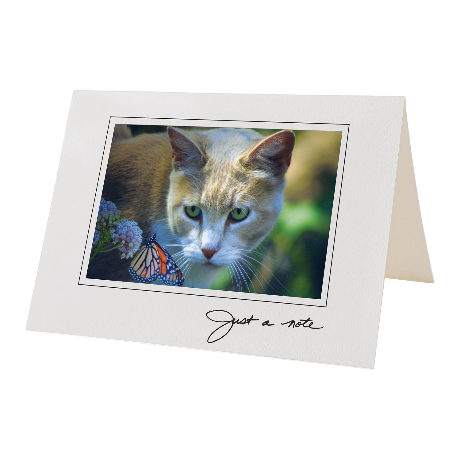 Just a Note Cards