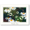 639 - Bright White, Thank You, Horizontal, set of 10 cards