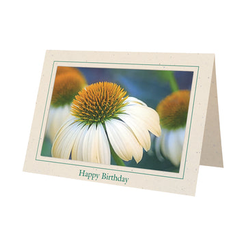 679 - Natural, Happy Birthday, Horizontal, set of 10 cards