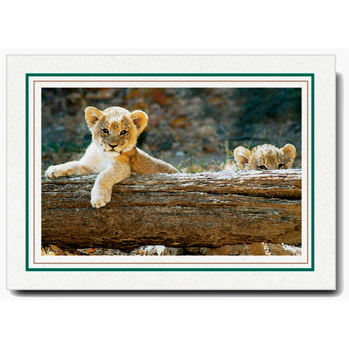 756A-S - Natural, Amazon Green & Sandstone Border, Horizontal, set of 10 cards