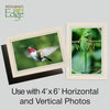 758A - Natural, Amazon Green Border, Blank Back, set of 10 cards
