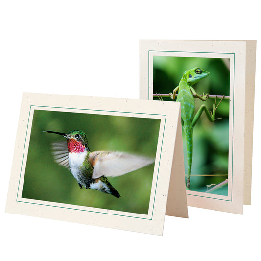 758A - Natural, Amazon Green Border, Blank Back, set of 10 cards