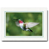 758A - Natural, Amazon Green Border, Blank Back, set of 10 cards