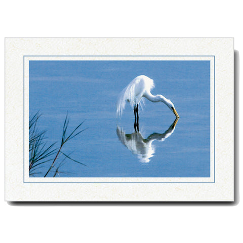 758BK - Natural, Raven Black Border, Blank Back, set of 10 cards ...