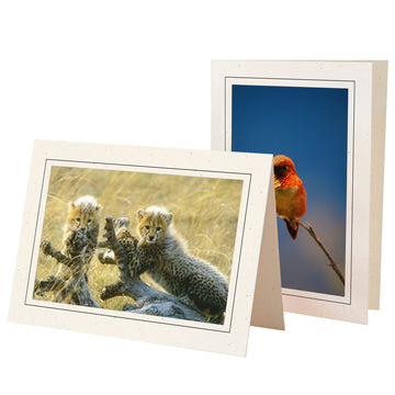 758BK - Natural, Raven Black Border, Blank Back, set of 10 cards