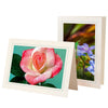 758J - Natural, Jade Slate Border, Blank Back, set of 10 cards