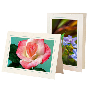 758J - Natural, Jade Slate Border, Blank Back, set of 10 cards