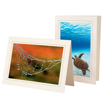 758S - Natural, Sandstone Border, Blank Back, set of 10 cards