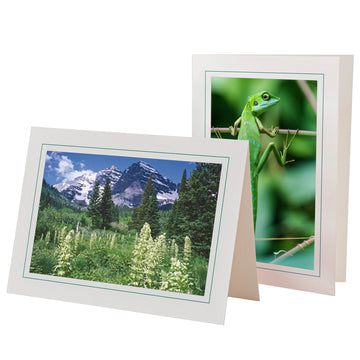 759A - Bright White, Amazon Green Border, Blank Back, set of 10 cards