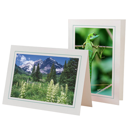 759A - Bright White, Amazon Green Border, Blank Back, set of 10 cards