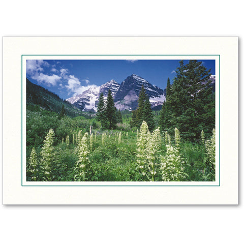 759A - Bright White, Amazon Green Border, Blank Back, set of 10 cards