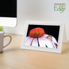 759G - Bright White, Granite Border, Blank Back, set of 10 cards