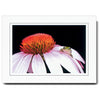 759G - Bright White, Granite Border, Blank Back, set of 10 cards